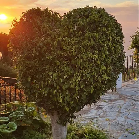 Casa Riquelas Dağ evi El Sauzal