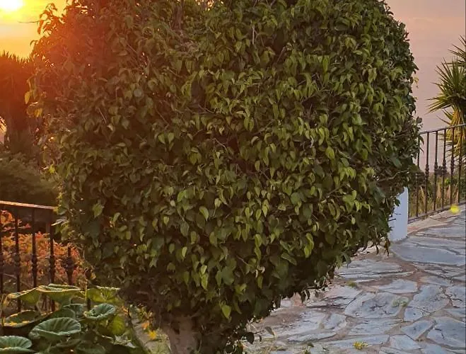 Casa Riquelas Chalet Sauzal